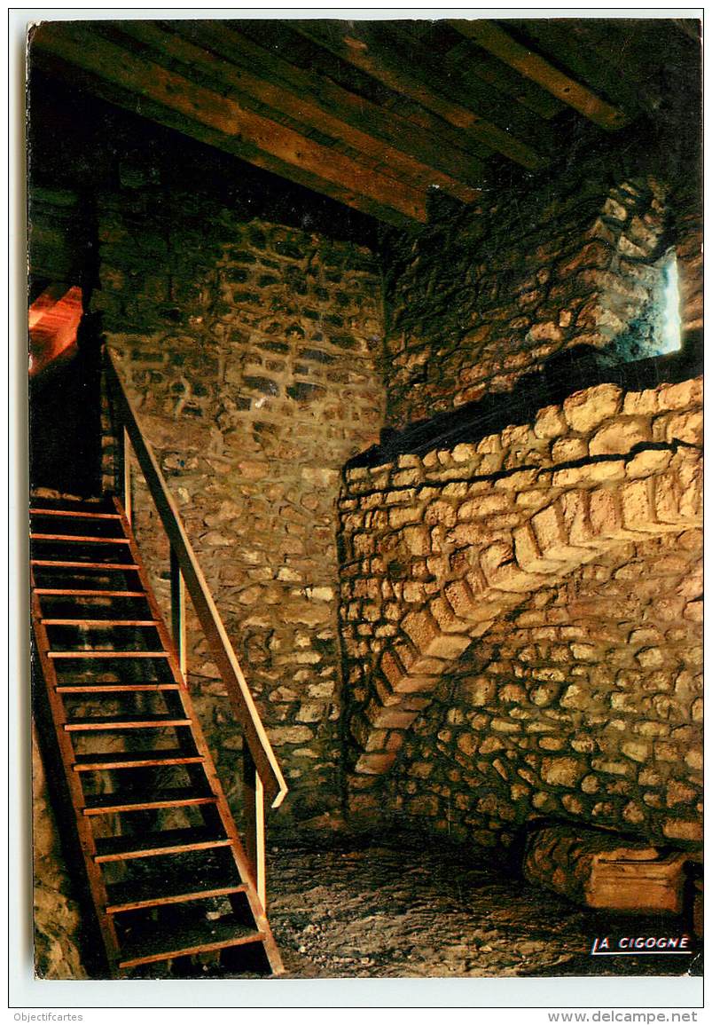 couleur vert (13).jpg